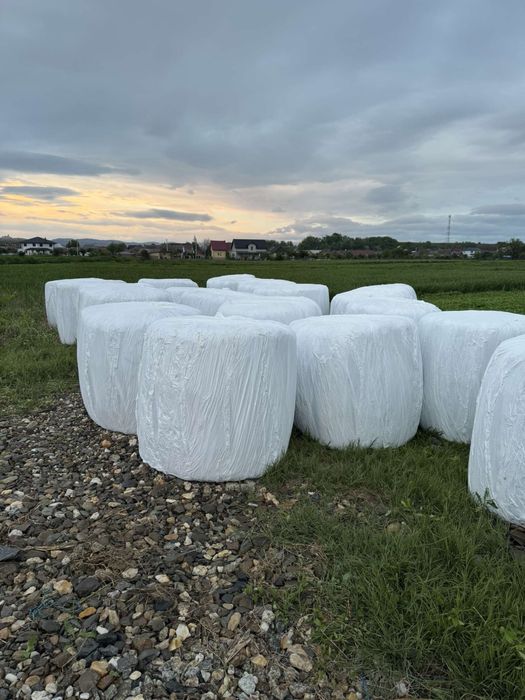 Vand baloti infoliati coasa 1