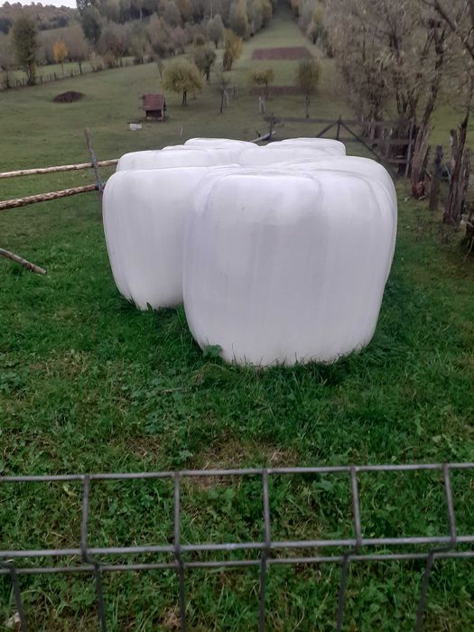 Vand fan verde de gradina