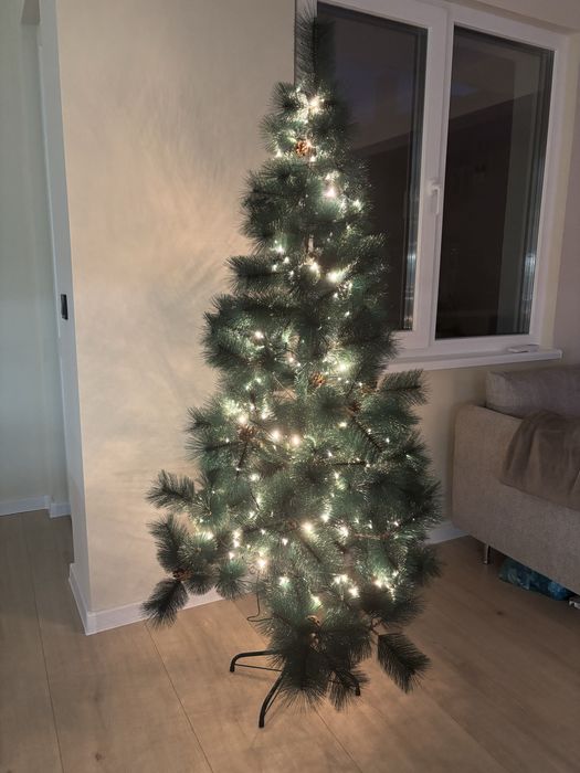 Елха с шишарки 180см.