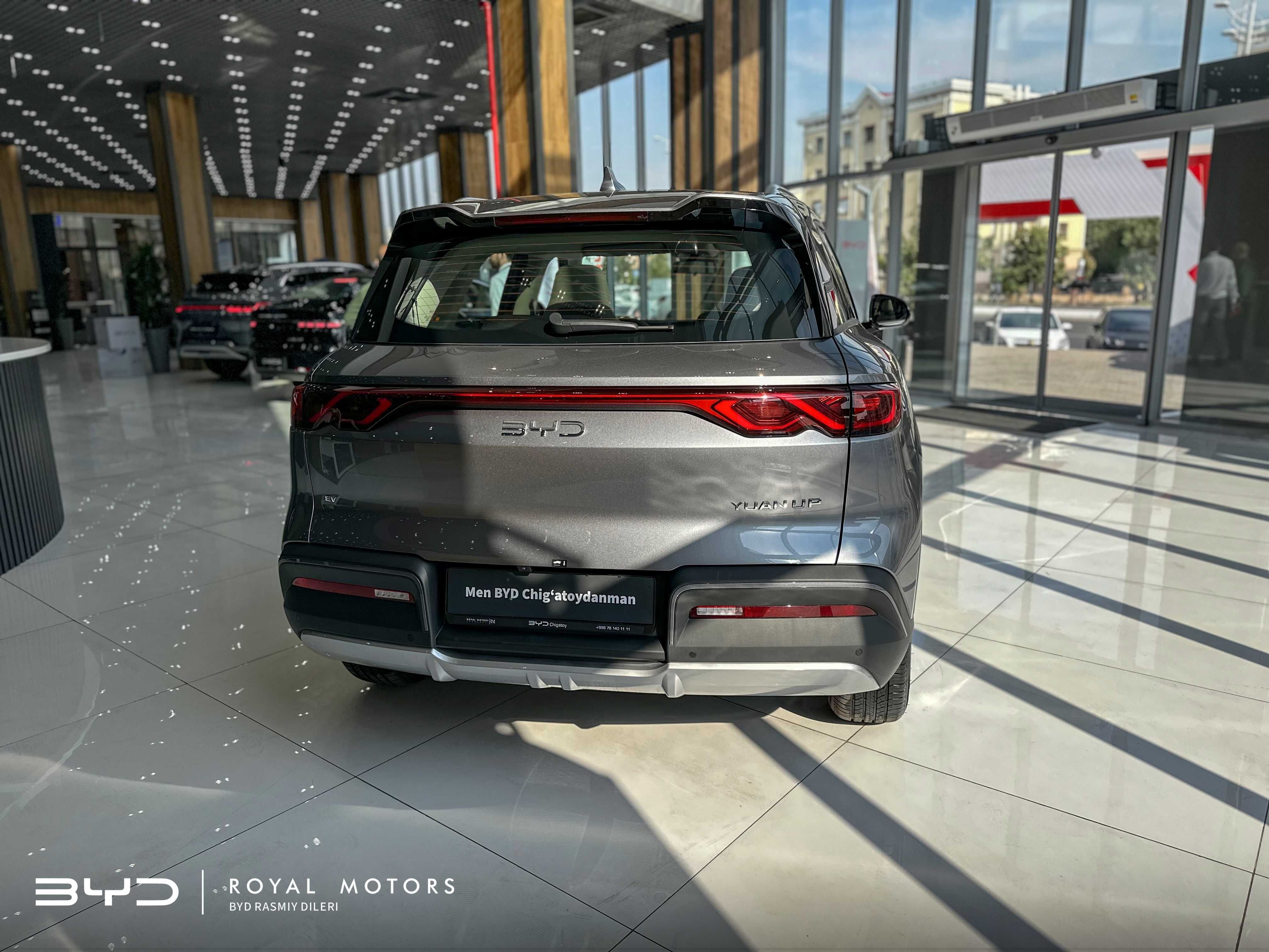 BYD YUAN UP 401km Flagship