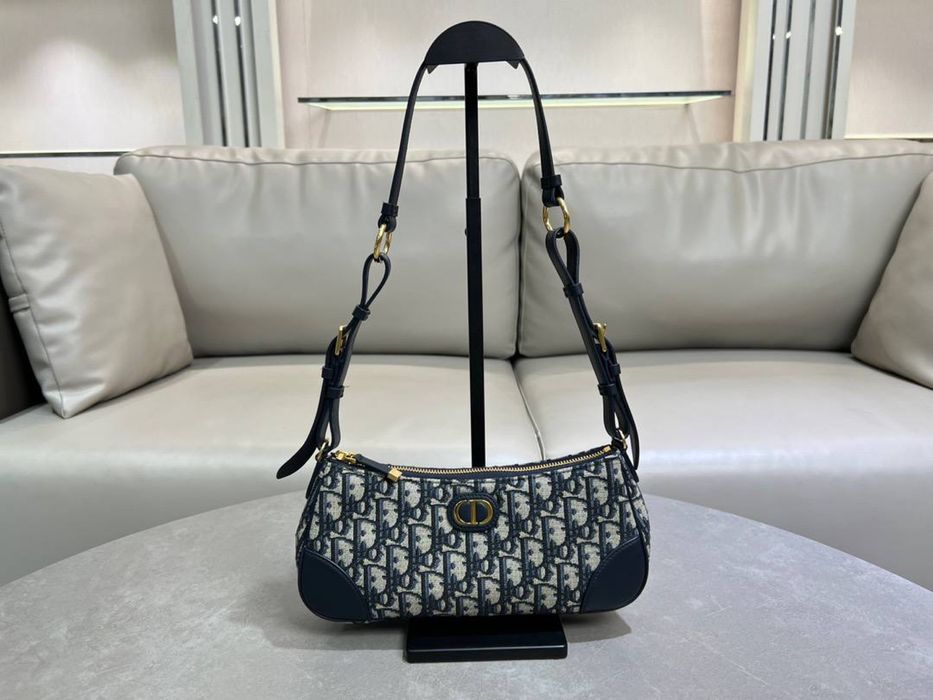 Geanta Christian Dior Wanderlust 30 Montaigne