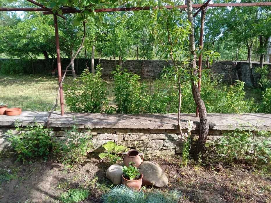 Продава се Къща в с. Бероново, Област Бургас - 142 кв.м за 353 €/кв.м - Снимка #5
