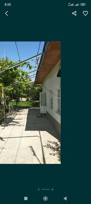 Xovli sotladi 7 sotu