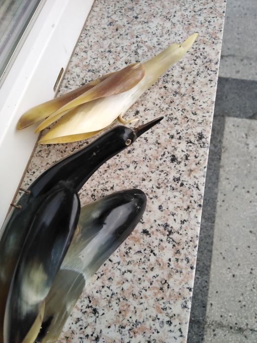 Красиви изделия от кост и кожа от див  заек