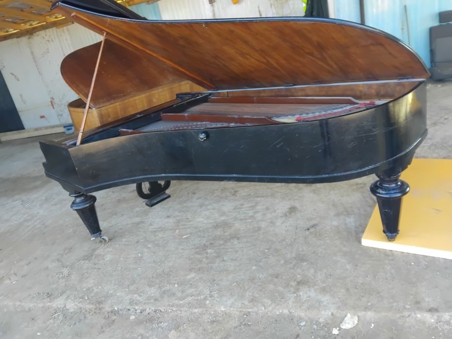 Piane recent adus  de colecție an 1320