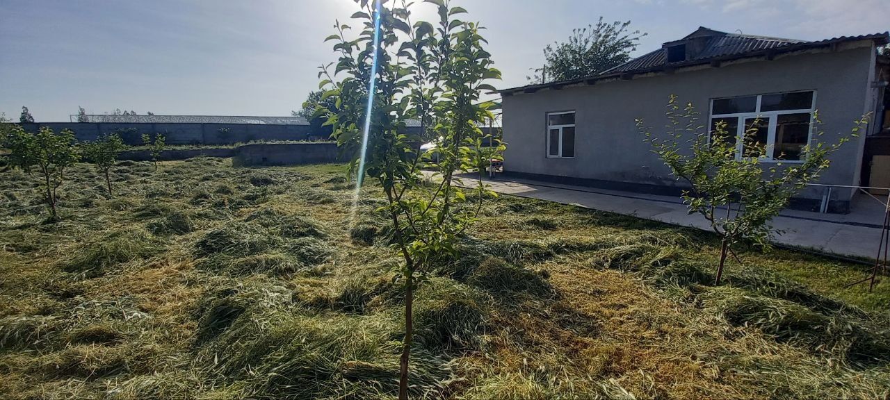 Toshket viloyati Nurafshon shaxri Hovli joy sotiladi