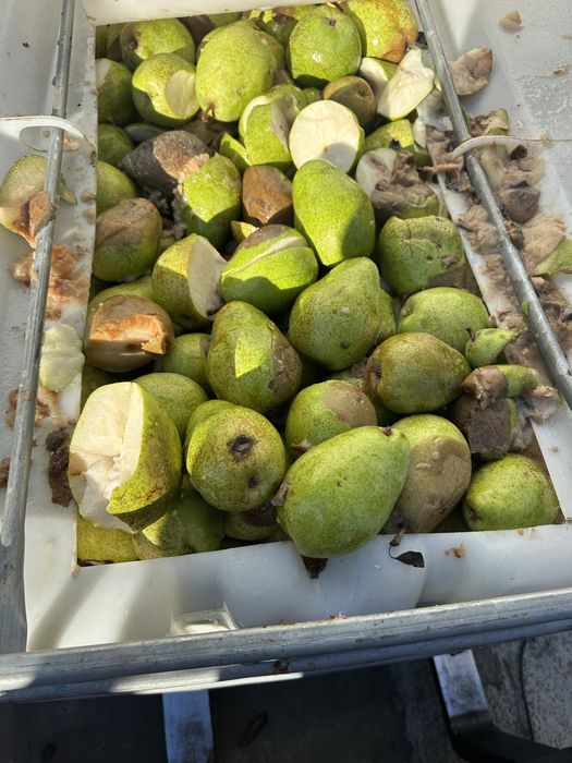 Pere industrie ( tuica sau animale )