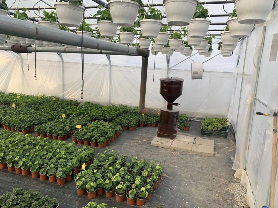 Soba peleti solar rasad sera incalzit hala locuinta.