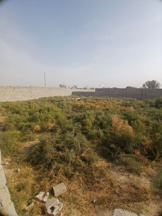 Чебурек куча Чоргумбаз 6сотих ер чала участка сотилади