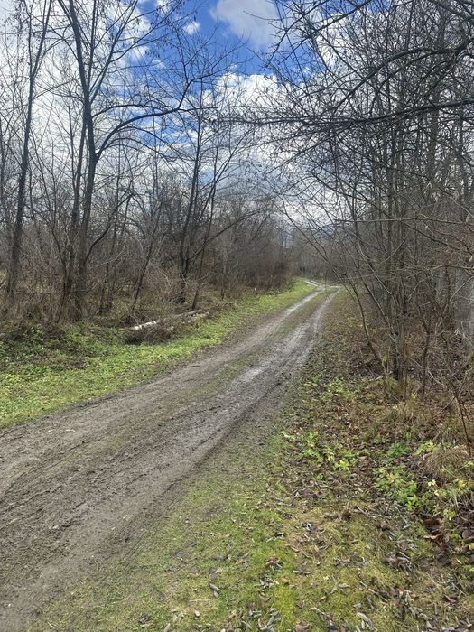 Vand teren pe valea avrigului ,2400 de m!