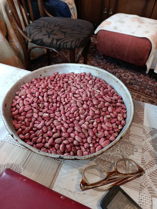 Фъстъци Калинка  България