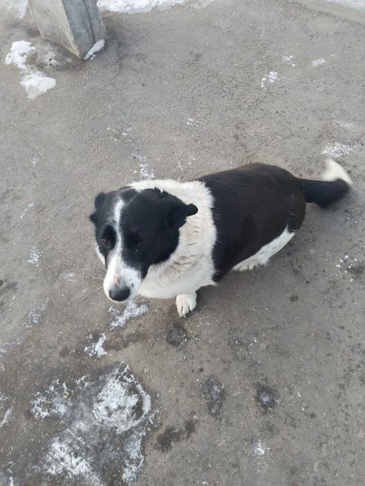 Помогите Найде найти дом