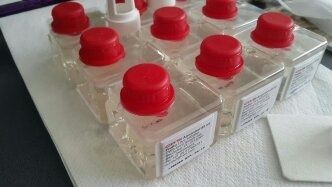 !! Neutralizator CWS frutto 85 ml tv