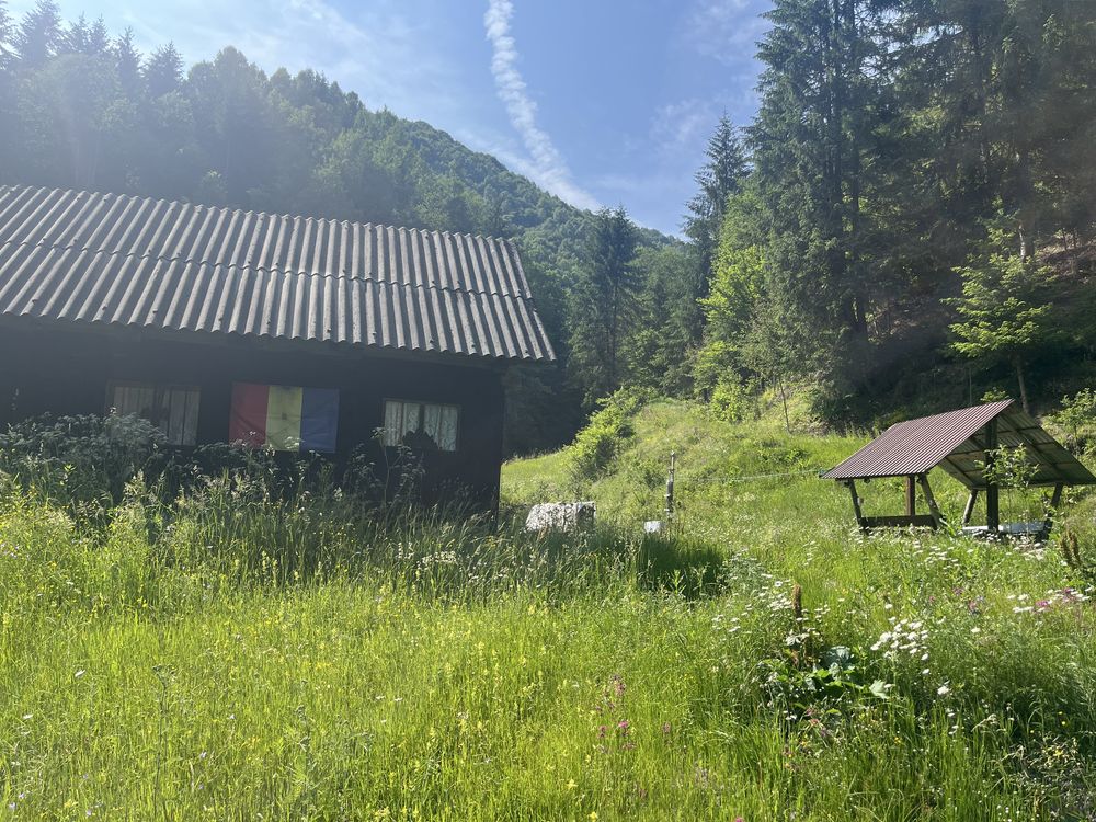 Teren de vanzare