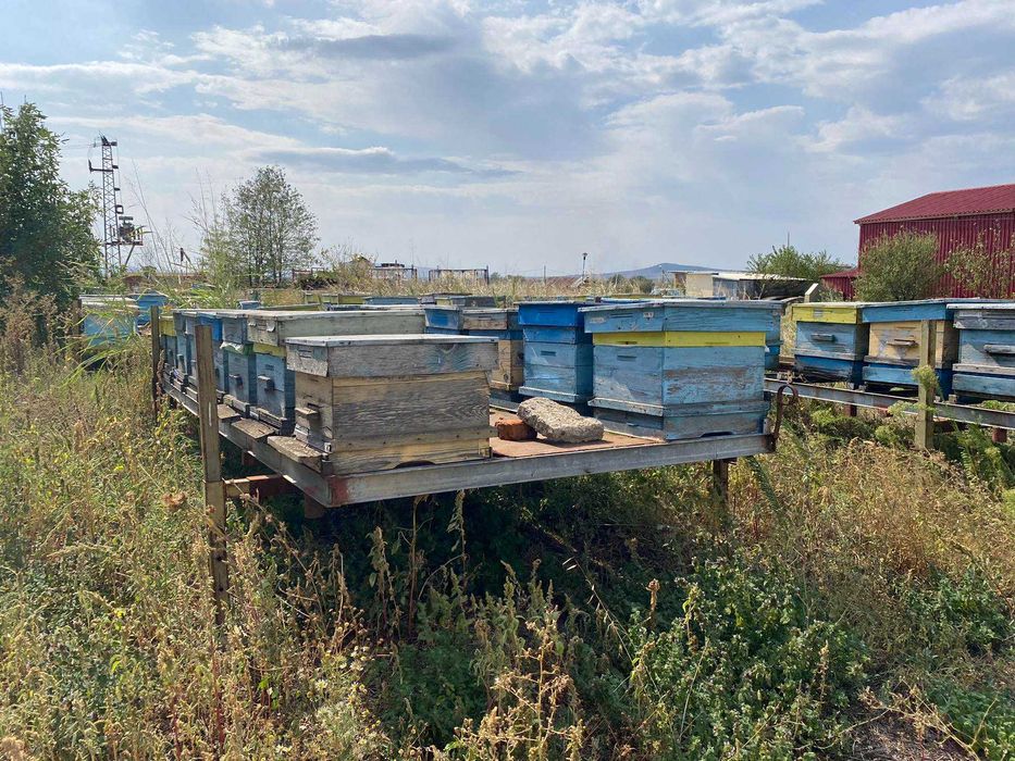 Пчеларски платформи за подвижно пчеларство