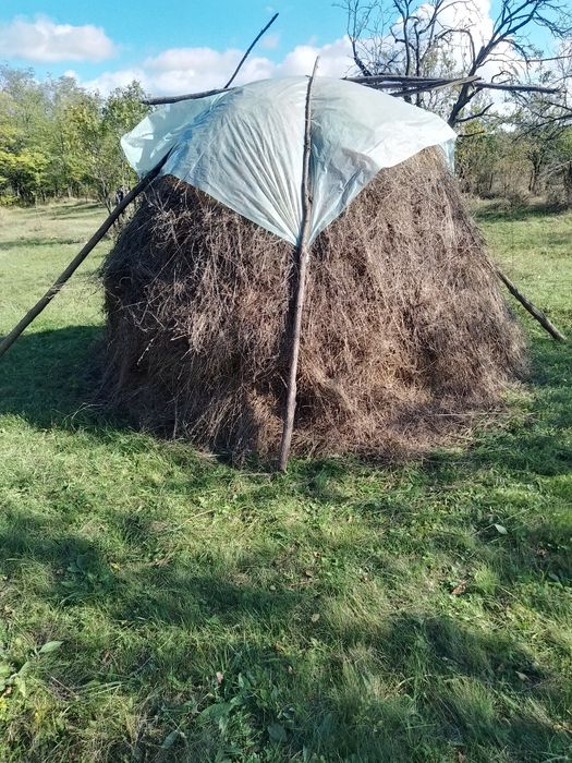 Fân  de bună calitate de vanzare