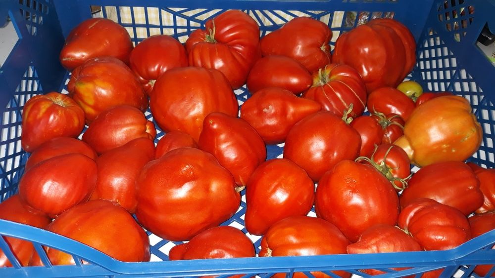 Bulion roşii bio
