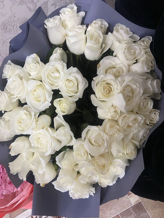 51 белая свежая роза.