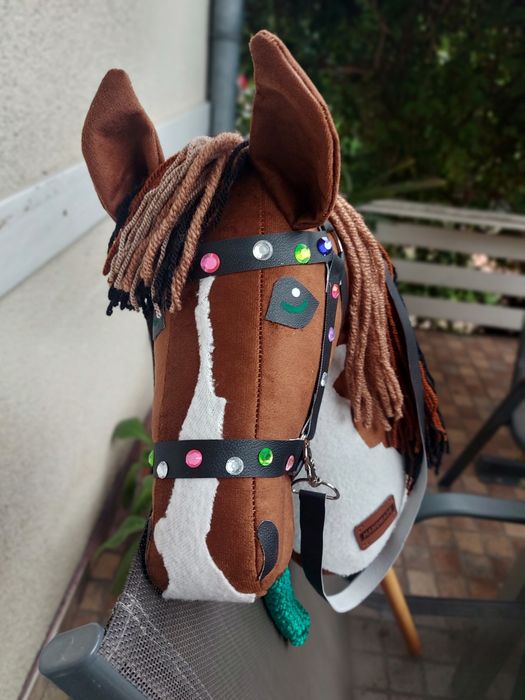 Hobby horse (cal pe băț)