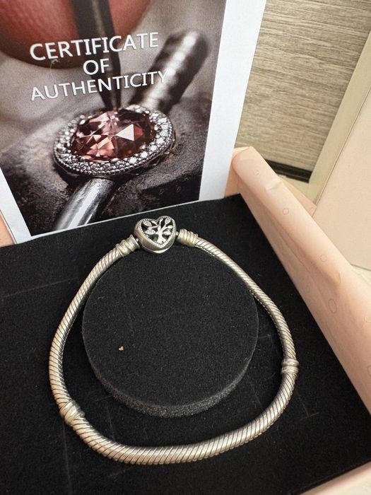 Сребърна гривна Pandora