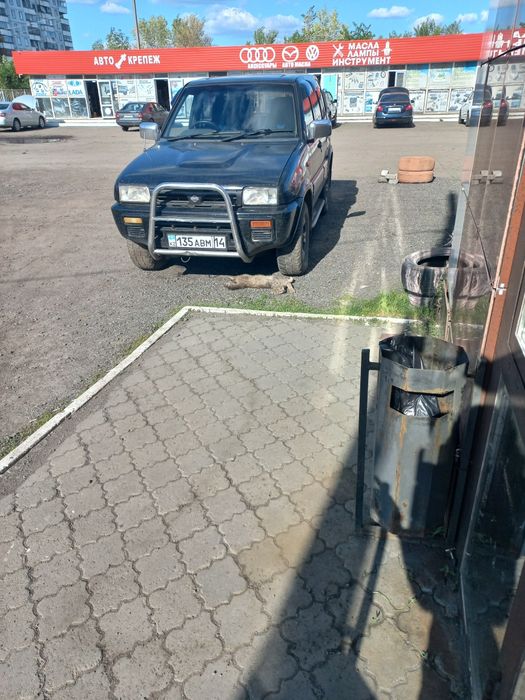 Ниссан Мистраль 1996 г.