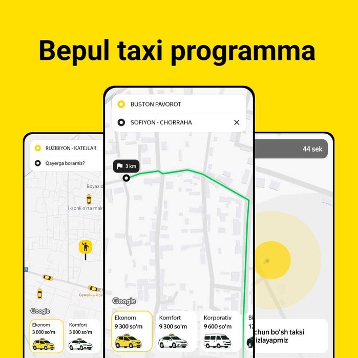 Taxi programma, biznes