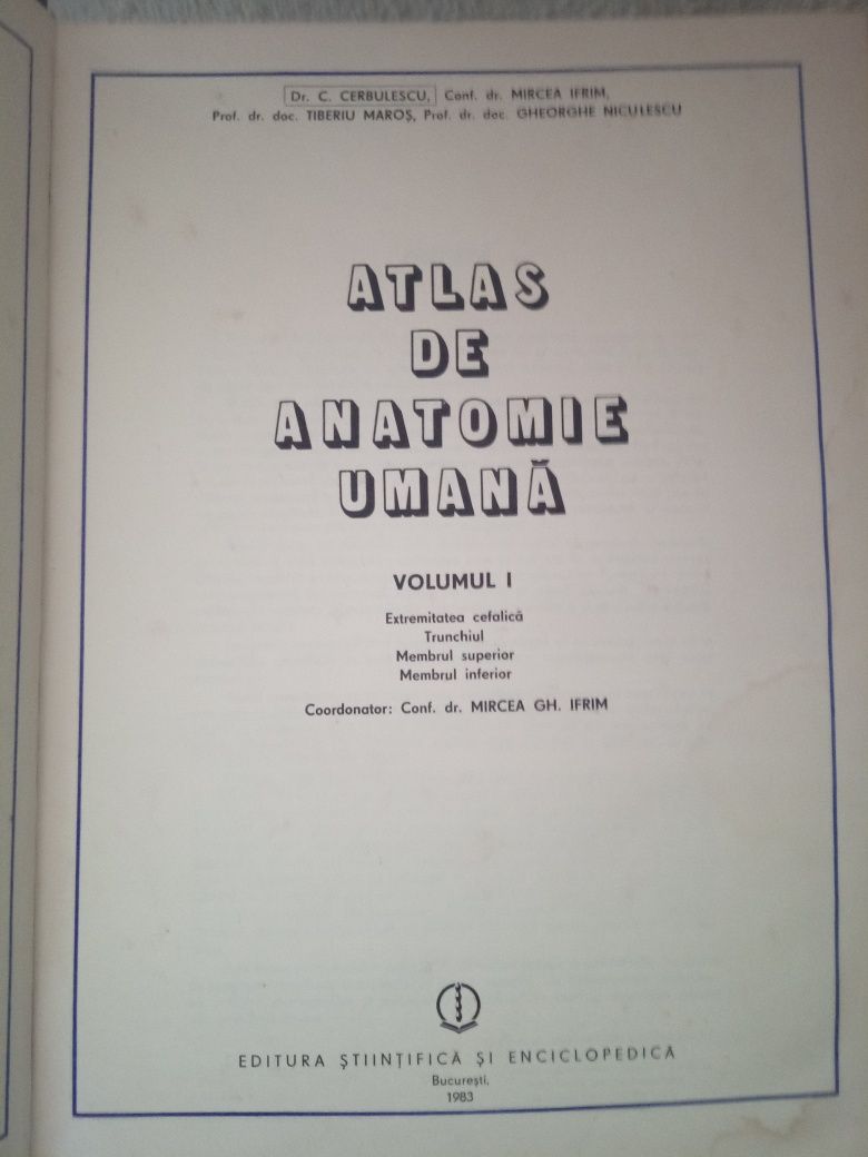 Atlas anstomie umana