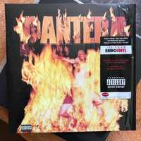 Pantera ‎- Reinventing The Steel, 2012 Reissue, Gatefold, M/M
