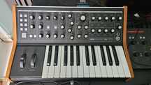 Moog Subsequent 25
