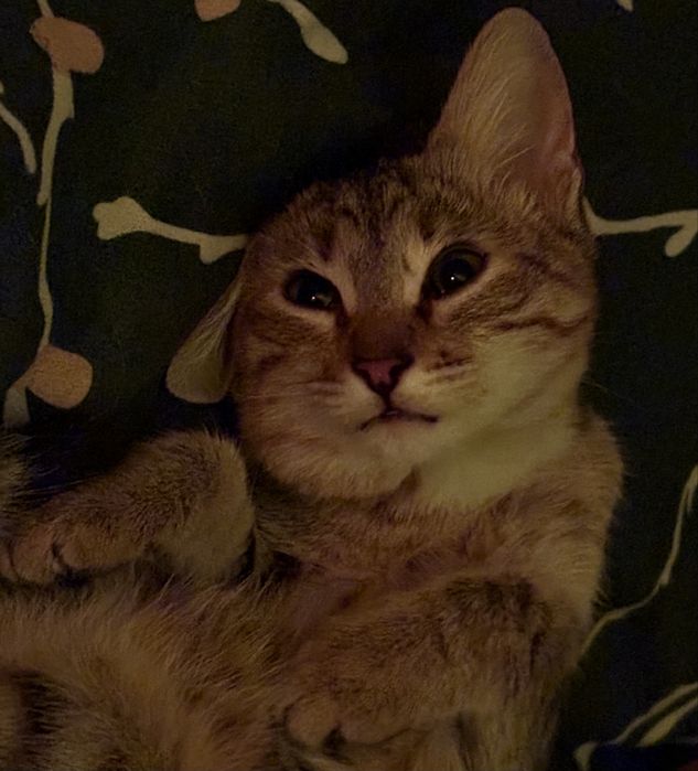 Только ответственным