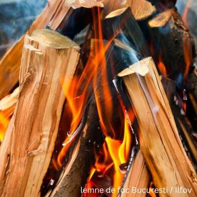 35% REDUCERE la Lemne de Foc - Bucuresti, Ilfov si imprejur - Taiate