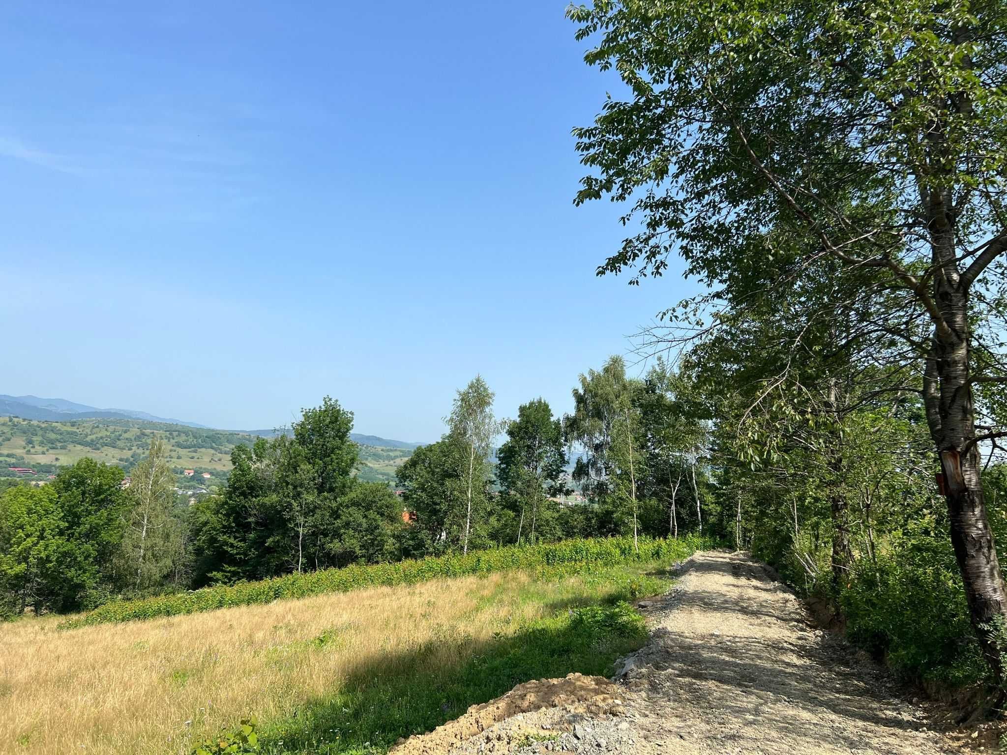 Vand Teren Bran | Sohodol | Brasov | LOT 1