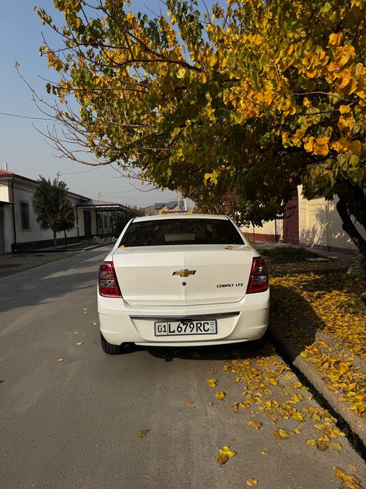 Cobalt 2024 года