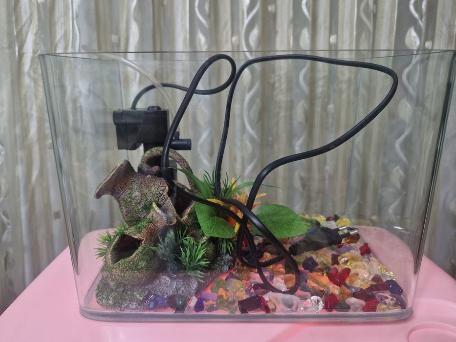 Akvarium+dekoratsiya+filtr