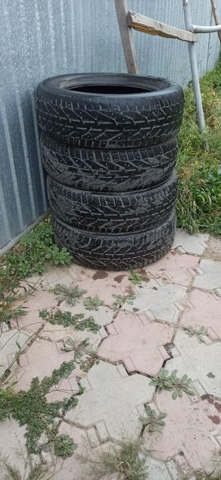 Шины.  на   ниву
