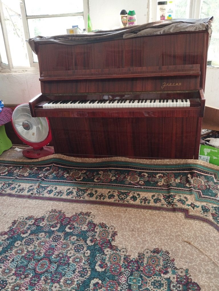 Fortepiano Elegiya