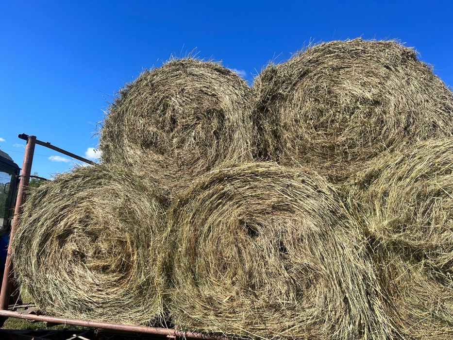 Сено в рулонах !