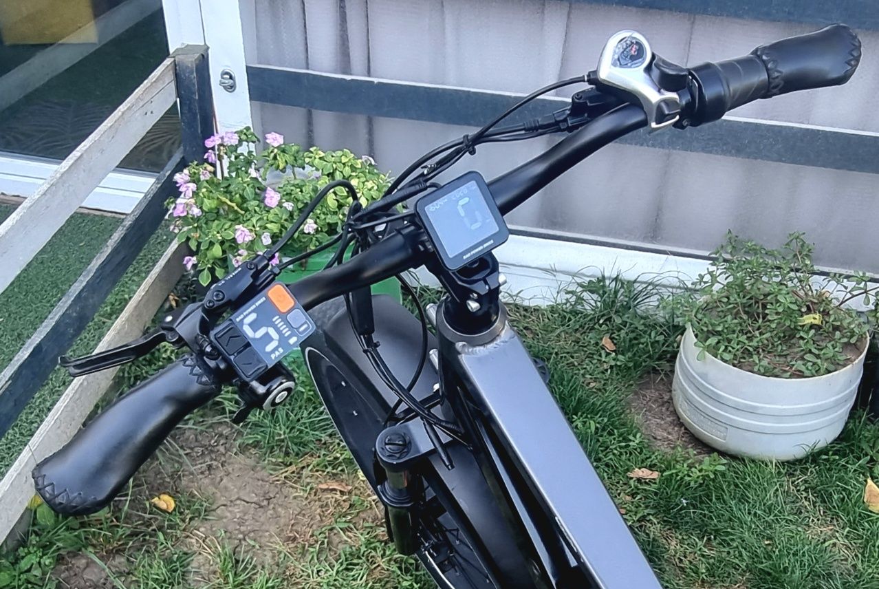 Bicicleta electrica RadRhino 6 Plus