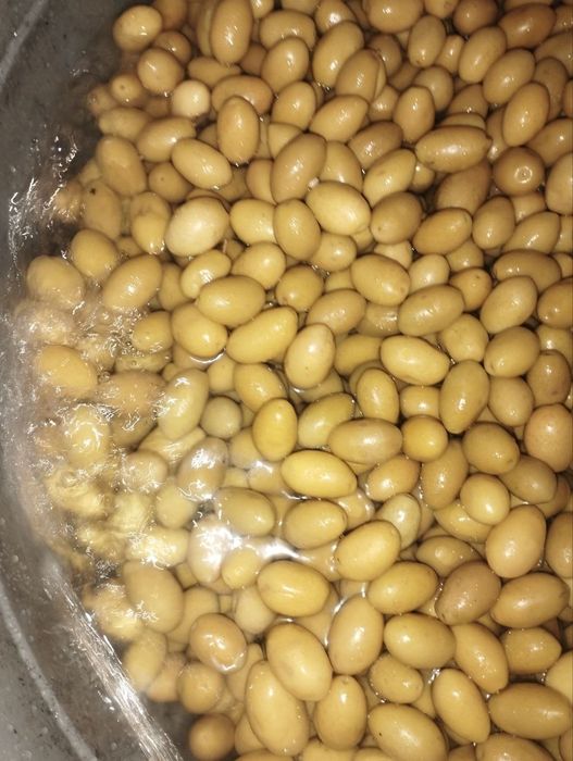 Salyoniy turkey eng yaxshi tam va lazatli