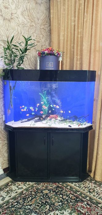 Продаётся аквариум из оргстекла 250+ литр