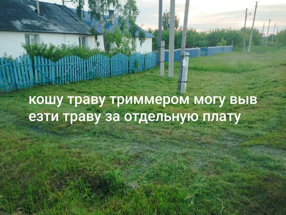 Скошу траву триммером