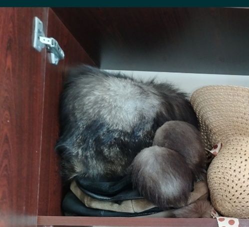 Продам шапку меховую и мужскую горку