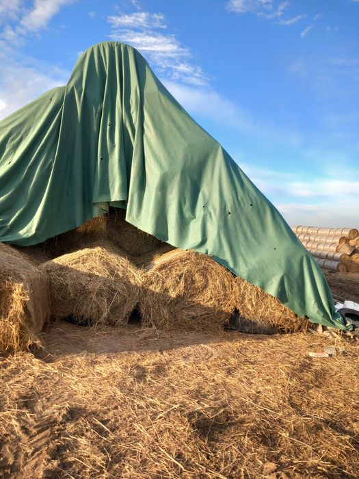 Baloti de fan calitatea 1