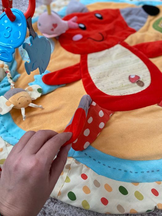 Salteluta activitati