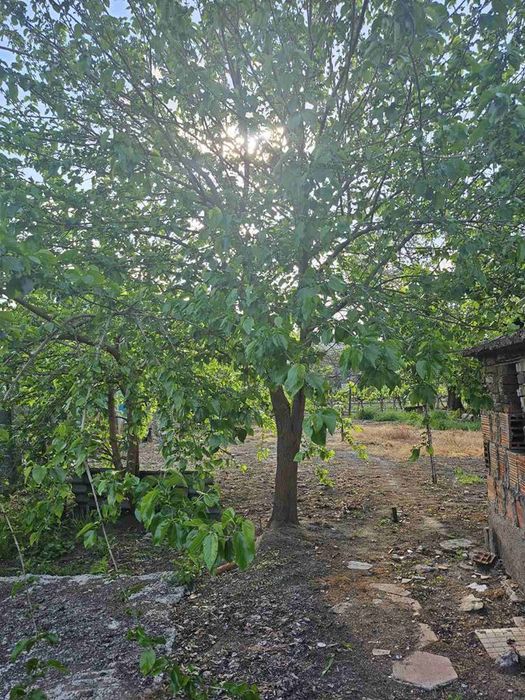 Продава се Къща в с. Йоаким Груево, Област Пловдив - 165 кв.м за 667 €/кв.м - Снимка #9