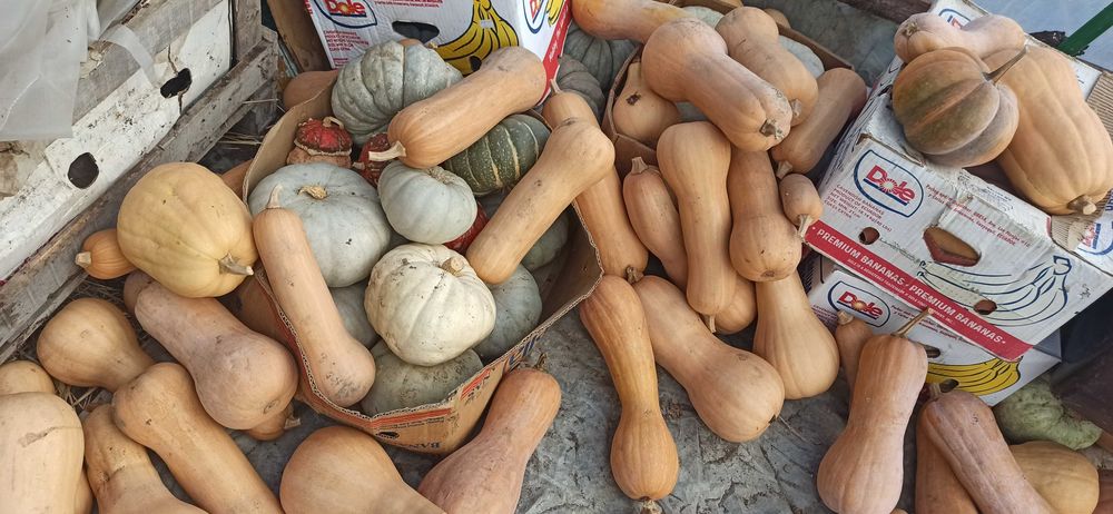 Тивки за консумация