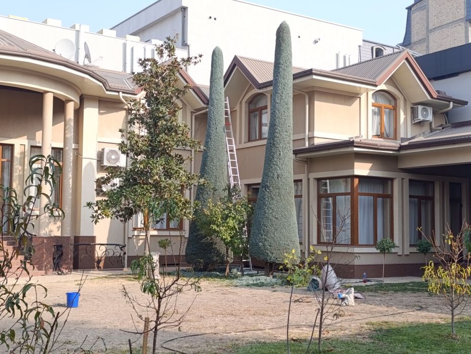 Арча кесиш дорилаш Дарахт кесиш буталаш шакил бериш.