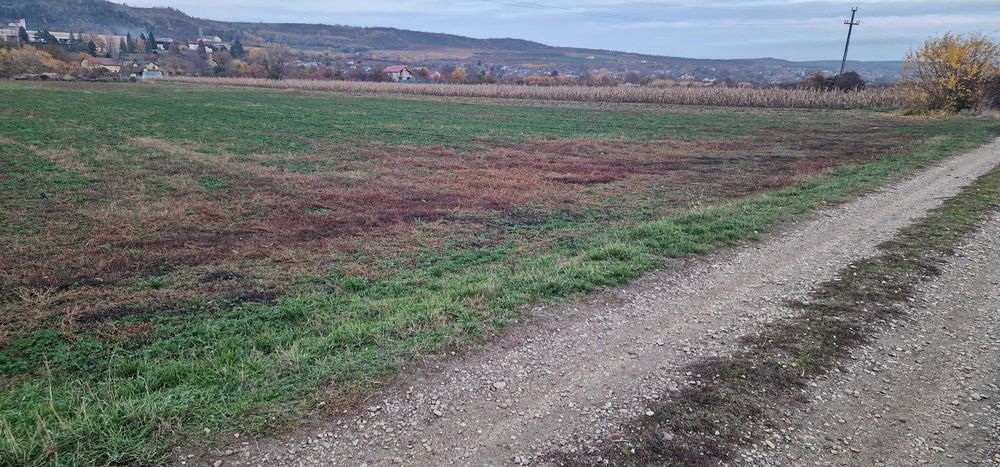 teren intravilan 3200 mp