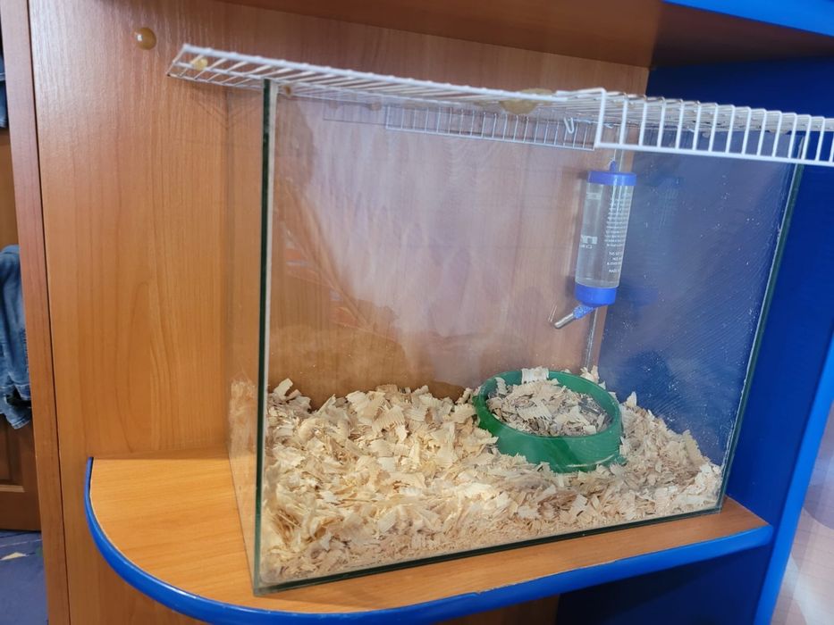 Аквариум 30 литров