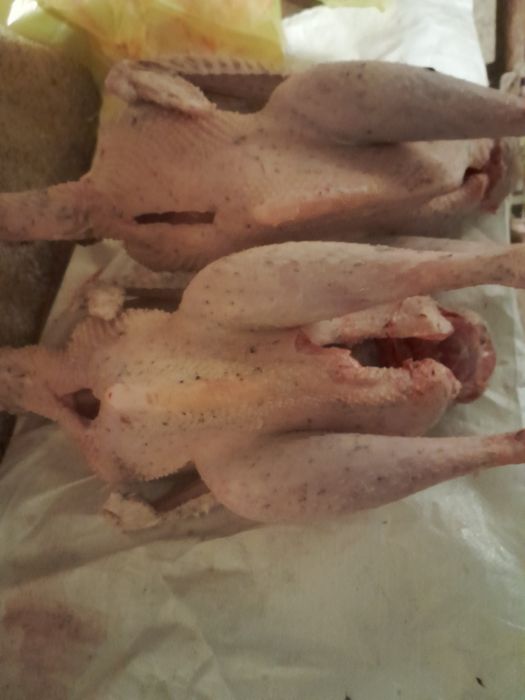 Мясо индюков, утки продаем